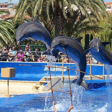 Castillo Can Xirau, Propiedad Exclusiva Con Piscina & Aircon Villa Santa Susanna Kültér fotó