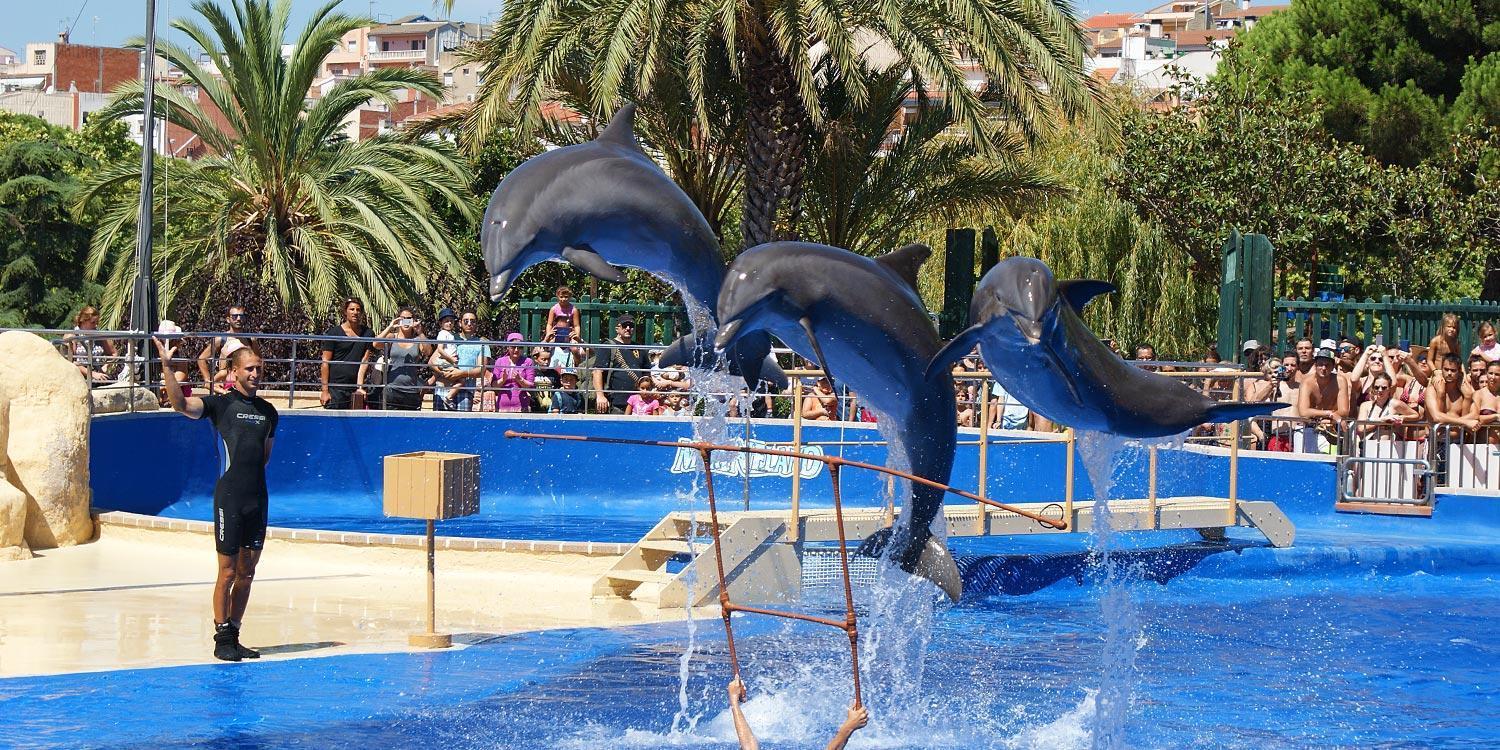 Castillo Can Xirau, Propiedad Exclusiva Con Piscina & Aircon Villa Santa Susanna Kültér fotó